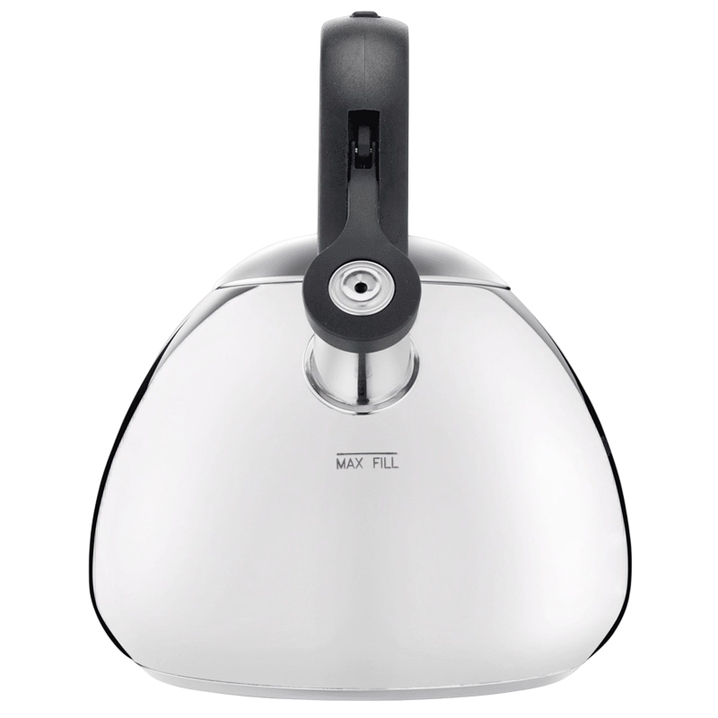 Ceainic Tefal N4180310 Duetto+ Oțel inoxidabil