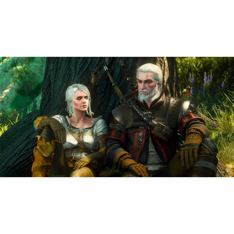 Disc The Witcher 3: Wild Hunt - Complete Edition