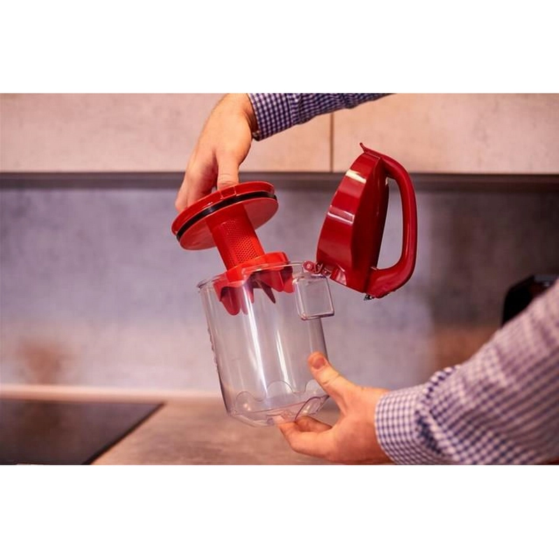 Aspirator Rowenta RO2913EA Roșu