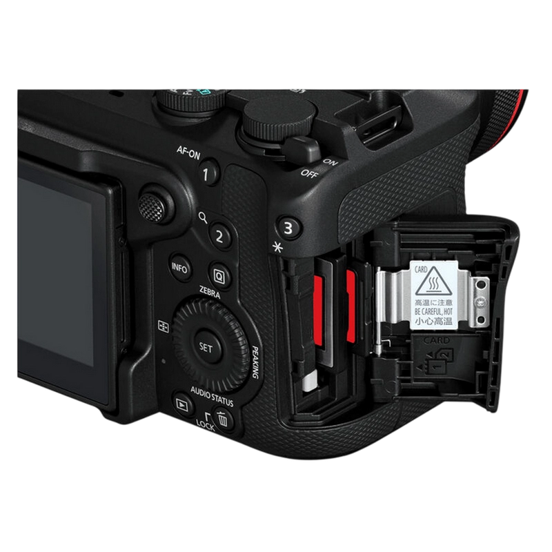 Беззеркальный фотоаппарат Canon EOS R6 V & RF