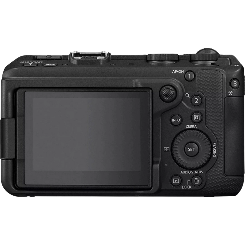 Беззеркальный фотоаппарат Canon EOS R6 V & RF