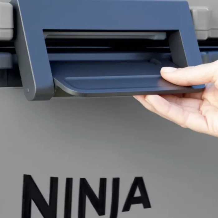 Cумка-холодильник Ninja FB245EUGY FrostVault Серый