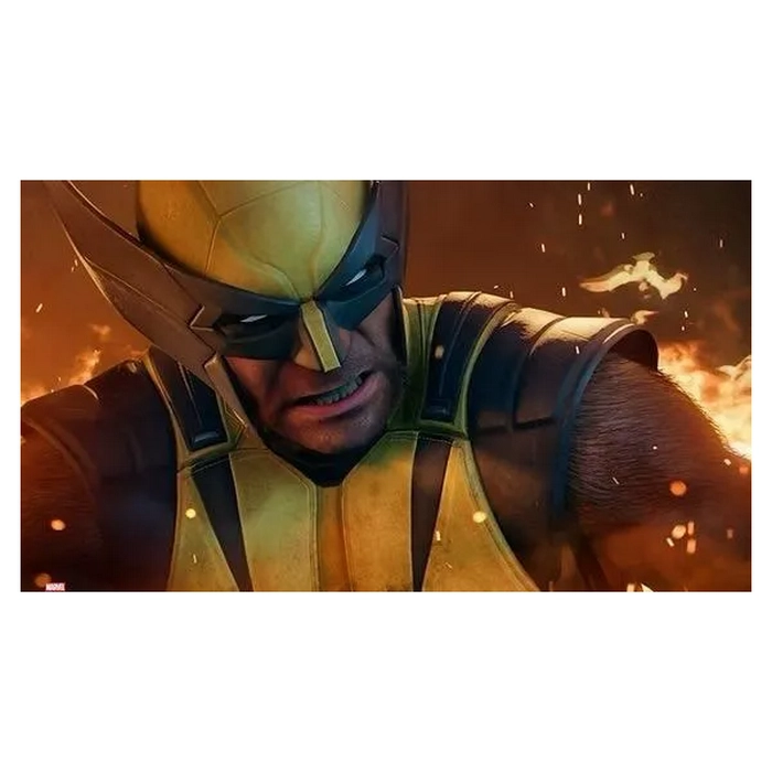Disc Marvel Wolverine