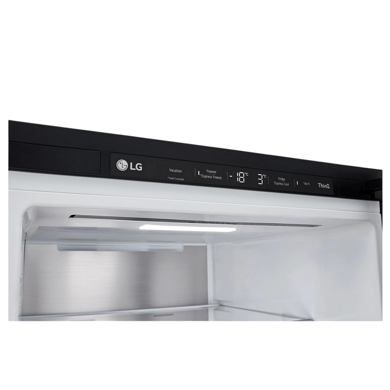 Холодильник LG GBG5160CEV Чёрный