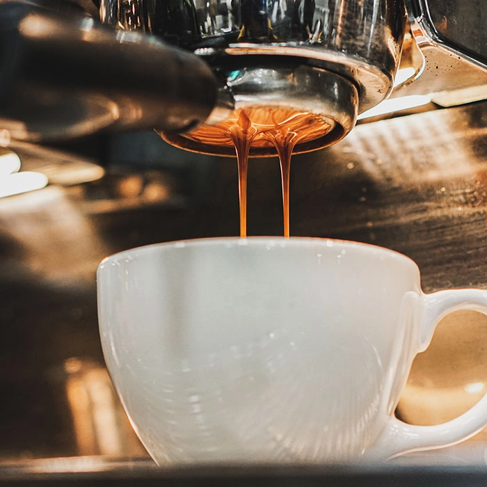 Cafetiera manuala Ninja ES601EU Oțel inoxidabil