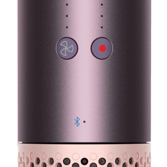 Стайлер Dyson Airwrap HS09 Co-anda 2x Plum