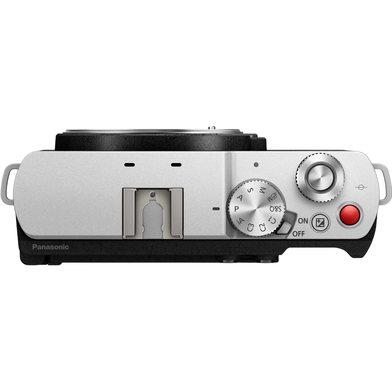 Aparat Foto Mirrorless Panasonic Lumix DC-S9NE-SA & Lumix S