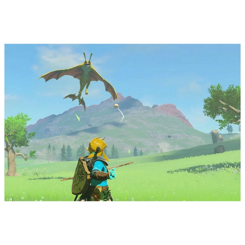 Cartridge The Legend of Zelda: Tears of the Kingdom