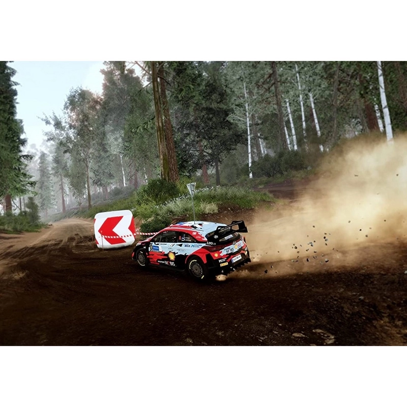 Disc WRC 10 - The Official Game