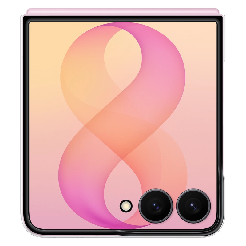 Husă Samsung Galaxy Flip 8 Clear Magnet case Transparent