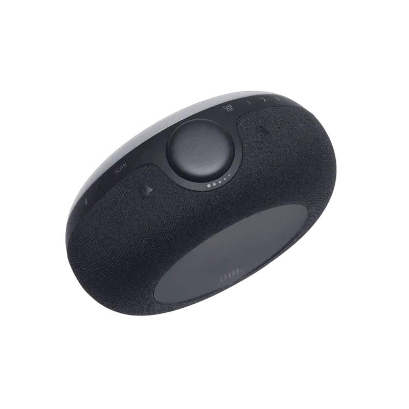 Портативное радио JBL Horizon 2 Чёрный