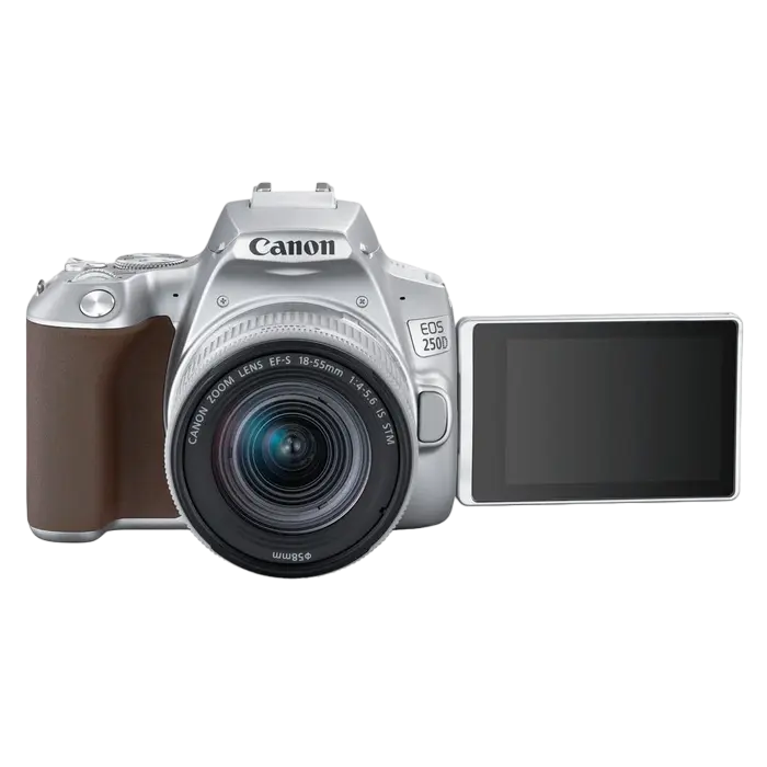 Зеркальный фотоаппарат Canon EOS 250D & EF-S