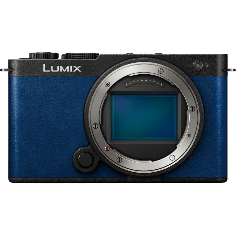 Беззеркальный фотоаппарат Panasonic Lumix DC-S9NE-A & Lumix S