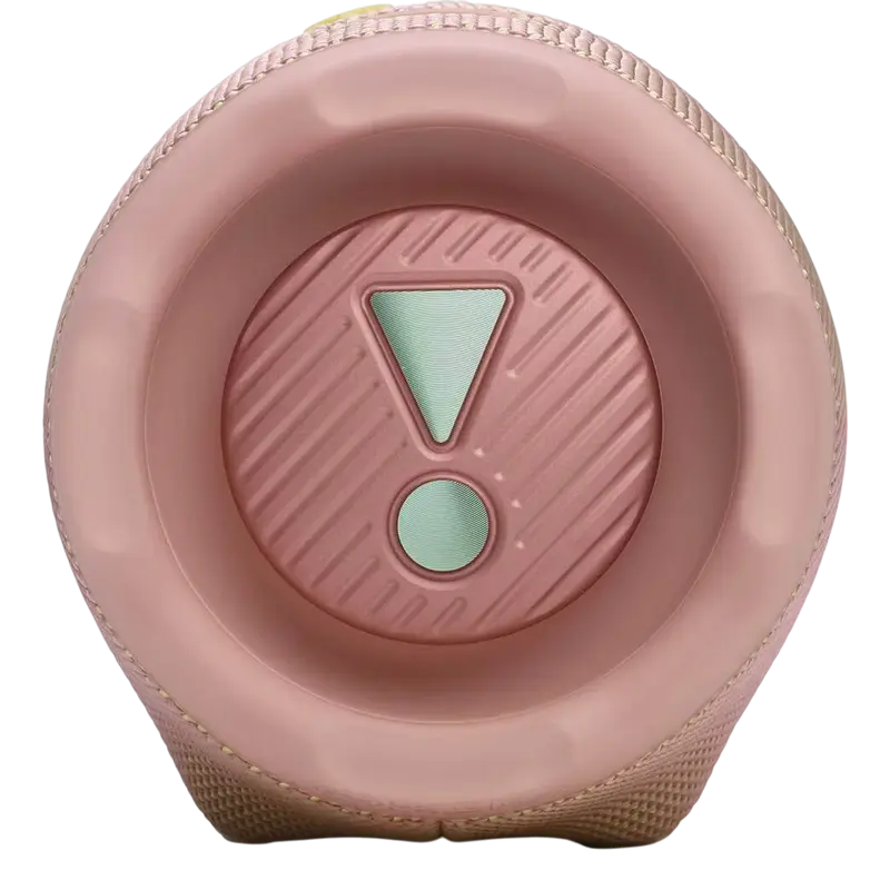 Портативная колонка JBL Charge 6 Розовый