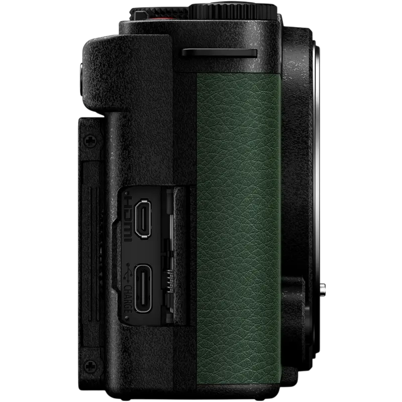 Беззеркальный фотоаппарат Panasonic Lumix DC-S9NE-G & Lumix S