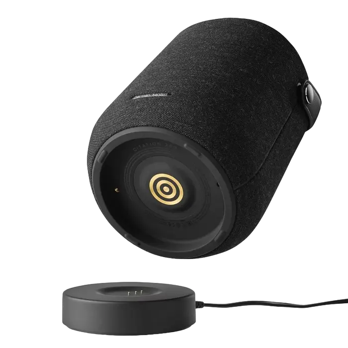 Портативная колонка Harman Kardon Citation 200 Чёрный