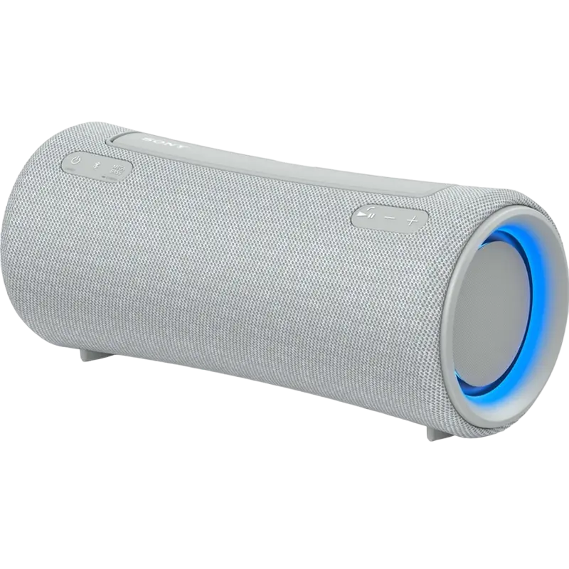 Аудиосистема SONY SRS-XG300 Grey