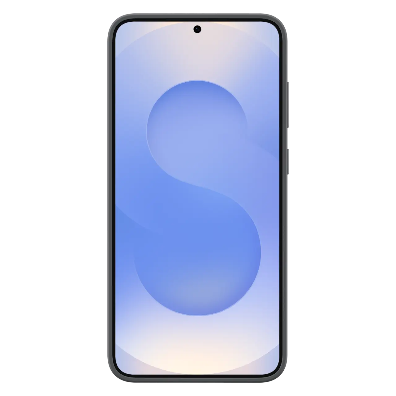 Husă Samsung Galaxy S25+ Silicone Cover Husă din silicon Negru