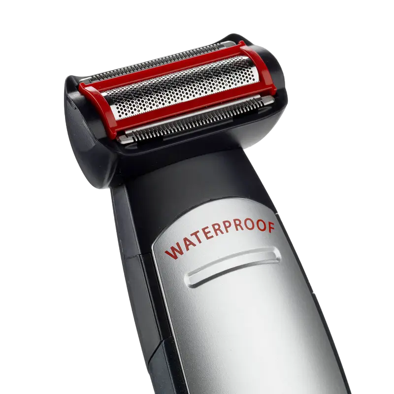 Мужской Триммер BaByliss E837E Серебристый