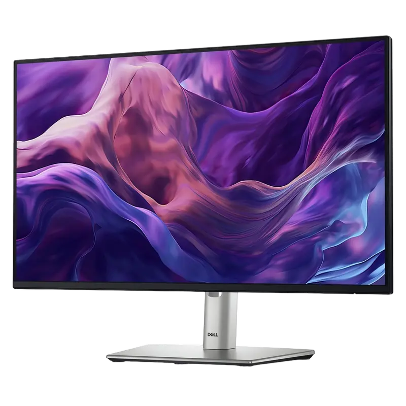 Монитор DELL P2425H Чёрный | Серебристый