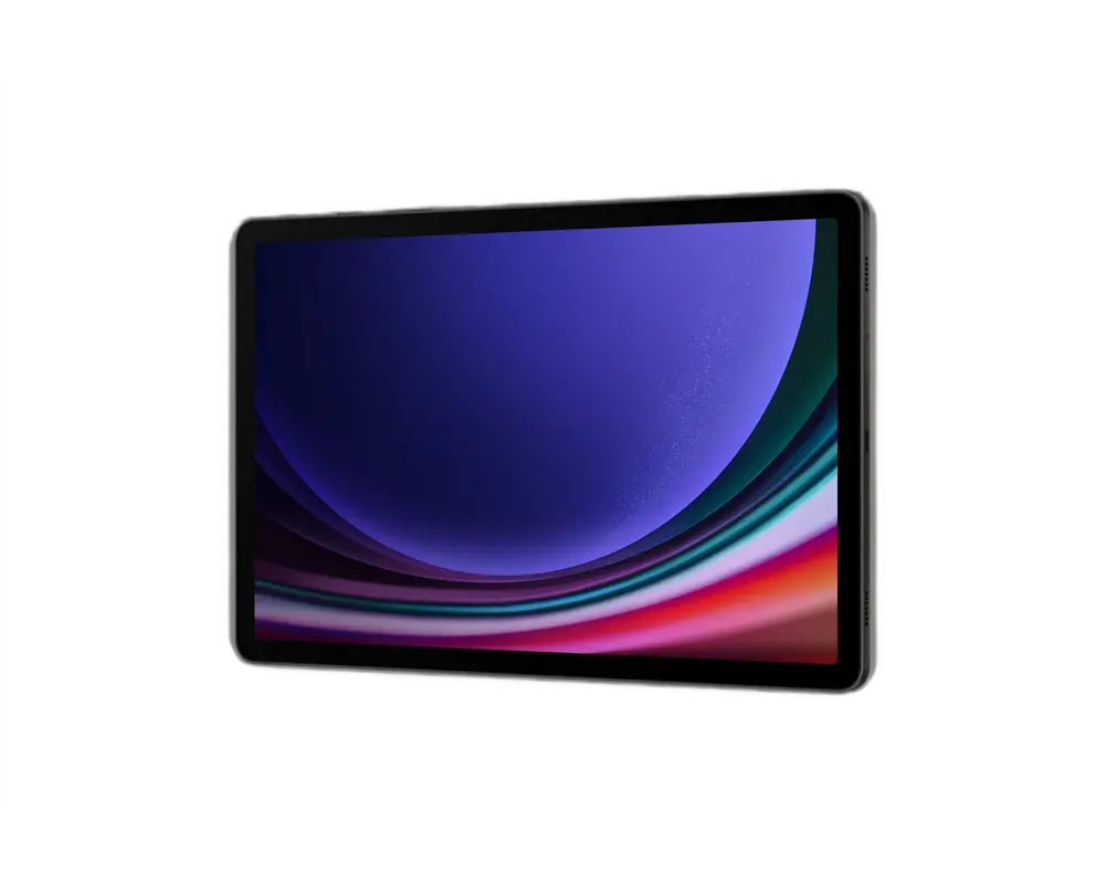 Планшет Samsung Galaxy Tab S9 Графитовый