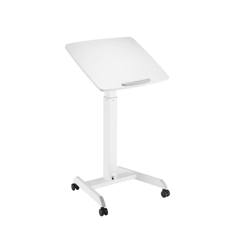 Reflecta Dino MWS600