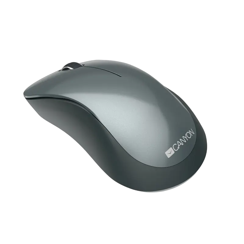 Беcпроводная мышь Canyon MW-11 Беспроводное Чёрный