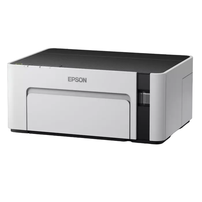Струйный принтер Epson M1100 A4 Серый