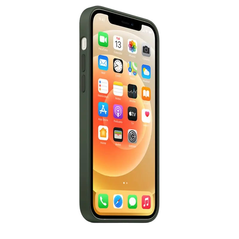 Чехол Apple iPhone 12/12 Pro Silicone Case MagSafe Силиконовый Чехол Cypress Green