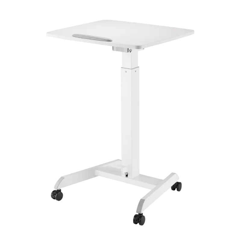 Reflecta Dino MWS600