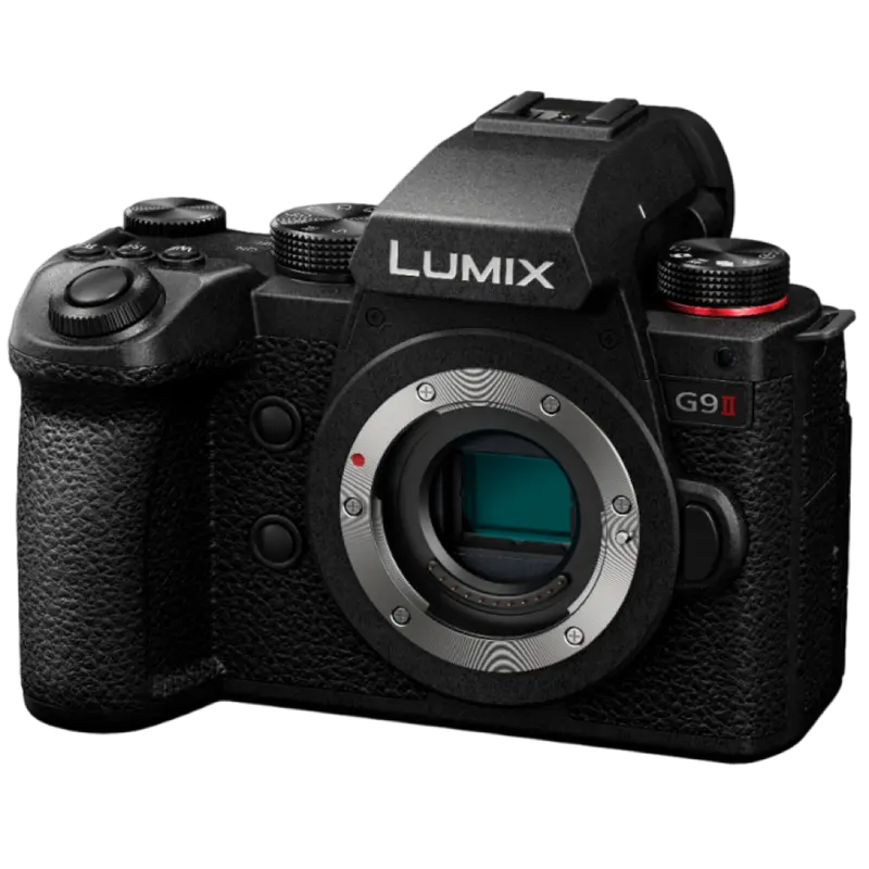 Aparat Foto Mirrorless Panasonic Lumix DC-G9M2EE