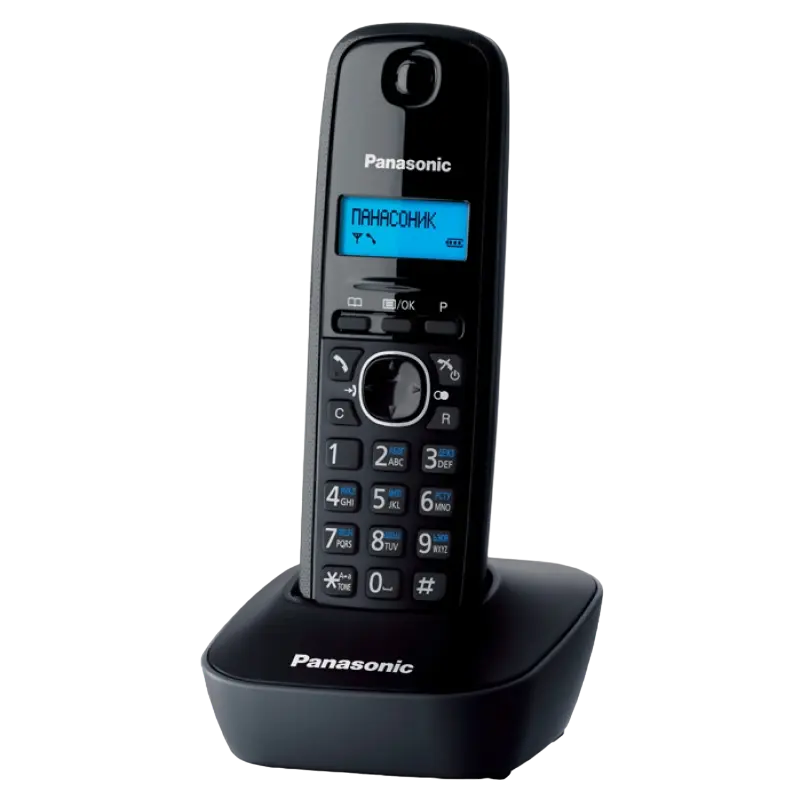 Радиотелефон Panasonic KX-TG1611 Серый