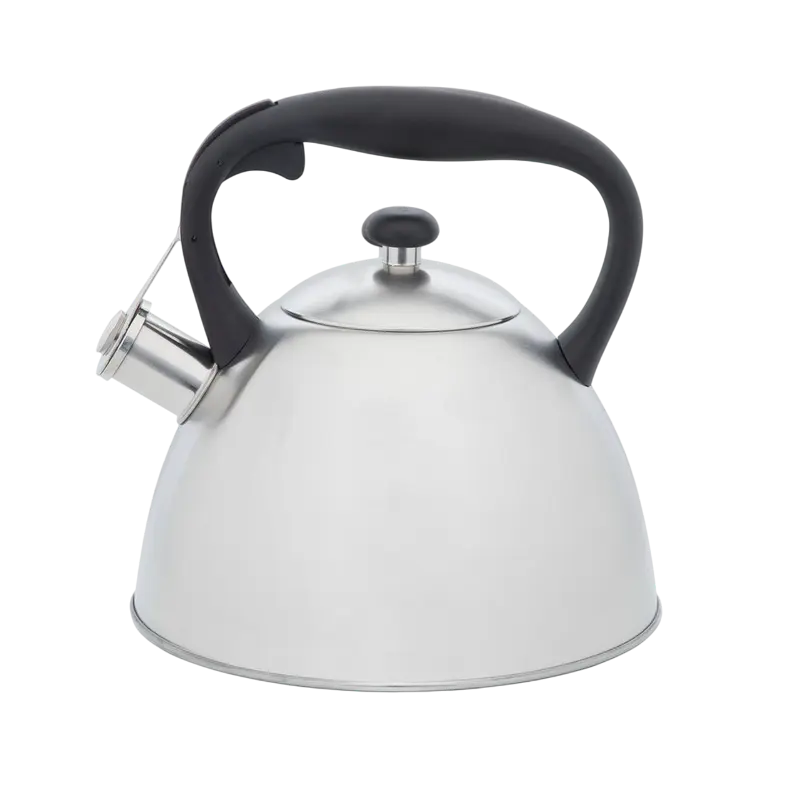 Чайник RESTO GEMINI Gemini Нержавеющая сталь