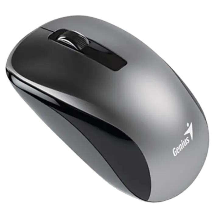 Беcпроводная мышь Genius NX-7010 Беспроводное Серый