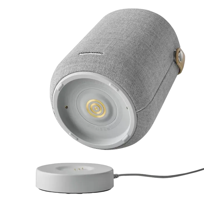 Портативная колонка Harman Kardon Citation 200 Серый