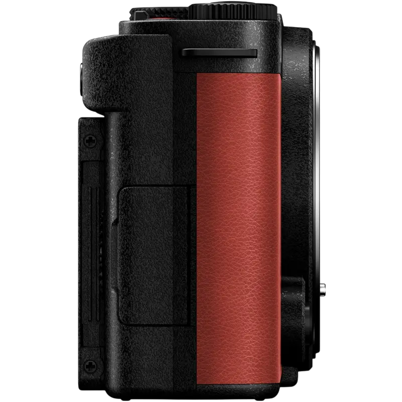 Aparat Foto Mirrorless Panasonic Lumix DC-S9NE-R & Lumix S