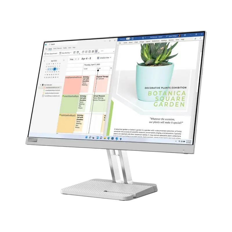 Монитор Lenovo L24e-40 Storm Gray