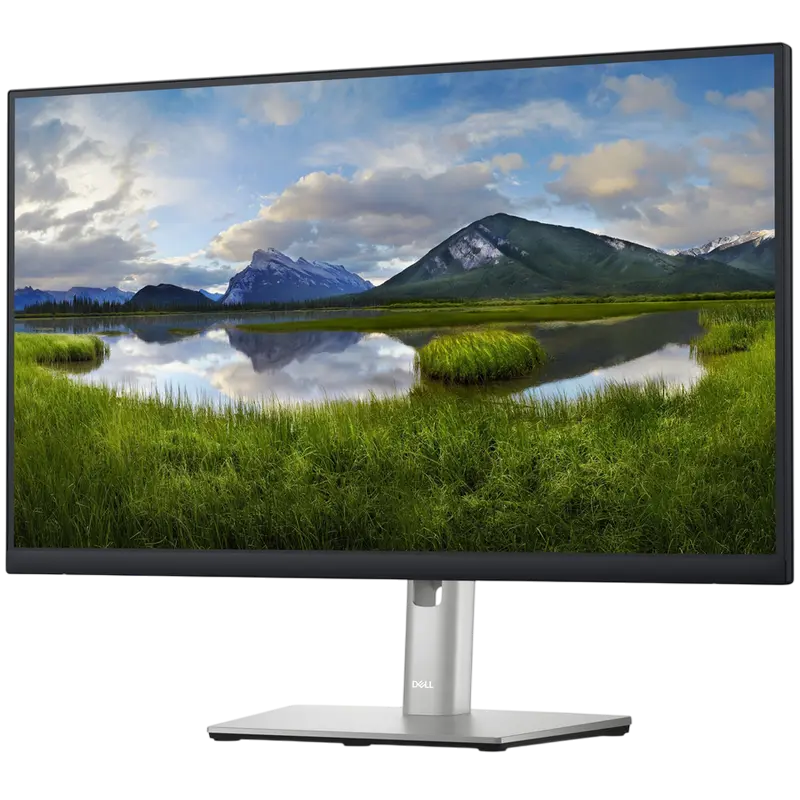 Монитор DELL P2423DE Серебристый | Черный