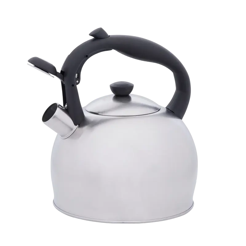 Чайник RESTO PERSEUS Perseus Нержавеющая сталь