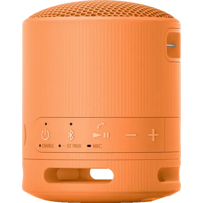 Портативная колонка SONY XB100 Оранжевый