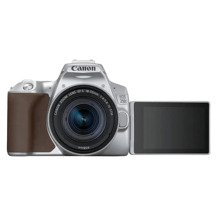 Зеркальный фотоаппарат Canon EOS 250D & EF-S