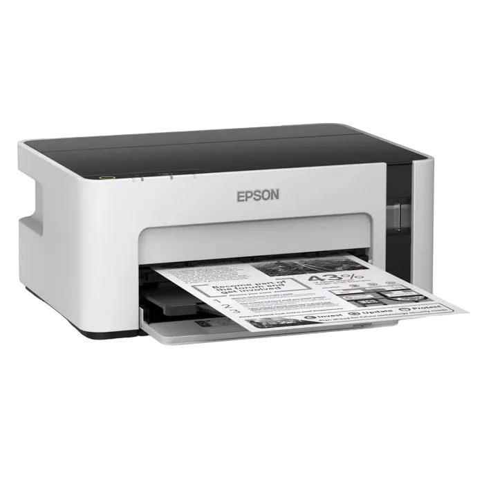 Струйный принтер Epson M1100 A4 Серый