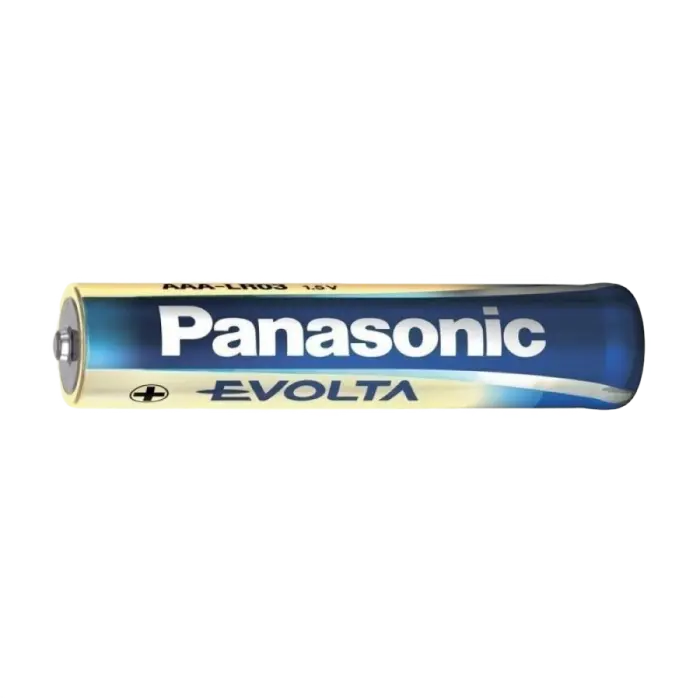 Батарейки Panasonic Evolta LR03EGE AAA