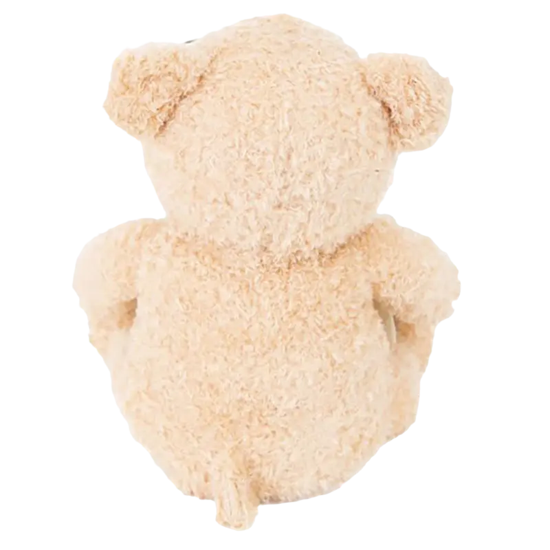 Noriel Toto the Storytelling Bear