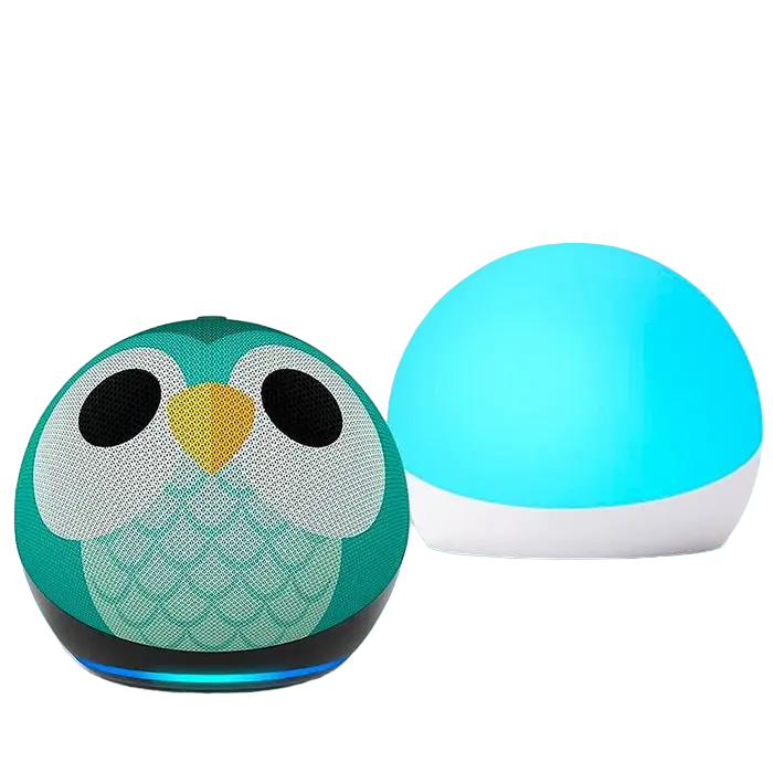 Умная колонка Amazon Echo Dot 5th Gen Сова