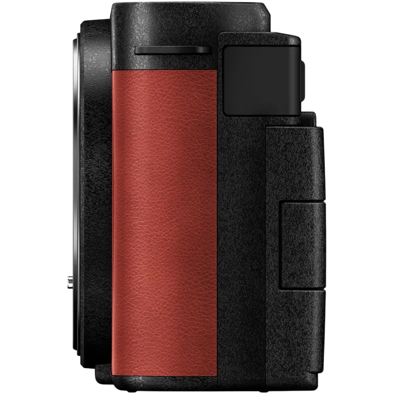 Aparat Foto Mirrorless Panasonic Lumix DC-S9NE-R & Lumix S