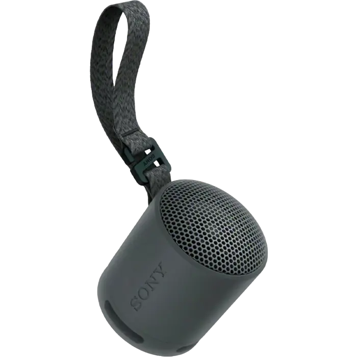 Портативная колонка SONY XB100 Чёрный