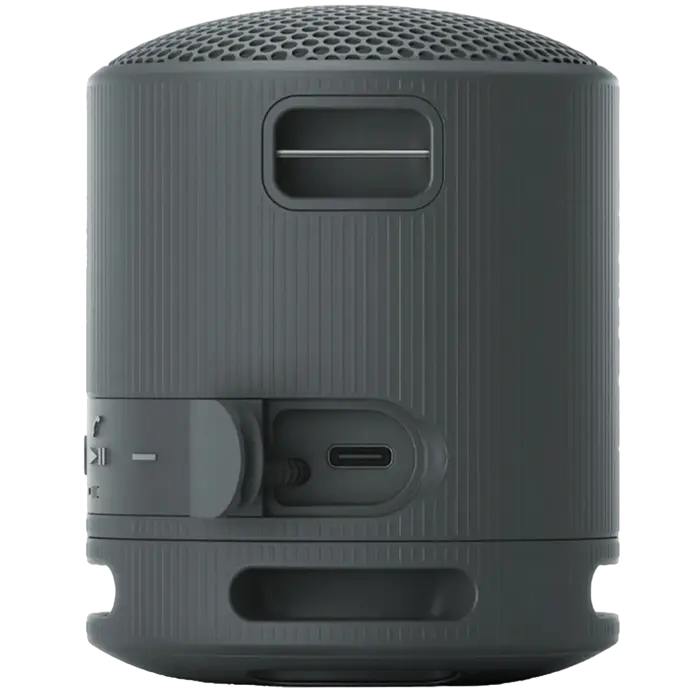 Портативная колонка SONY XB100 Чёрный