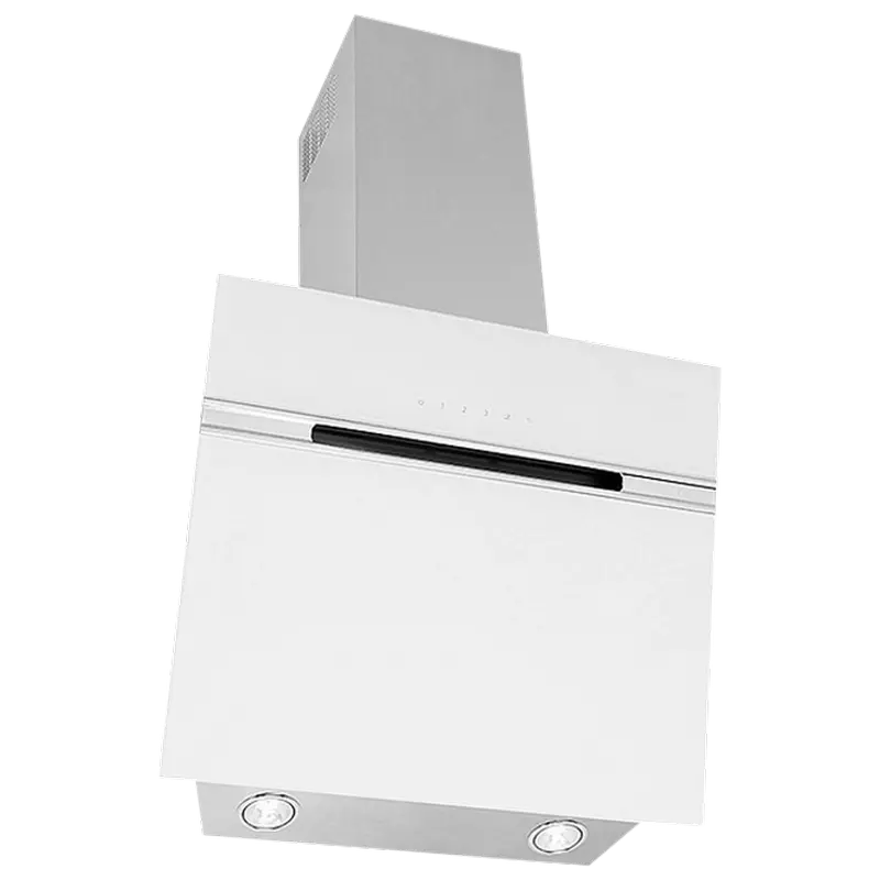 Наклонная Вытяжка Elica STRIPE WH/A/60/LX Нержавеющая сталь