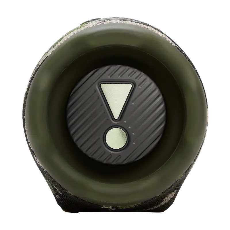 Портативная колонка JBL Charge 6 Squad